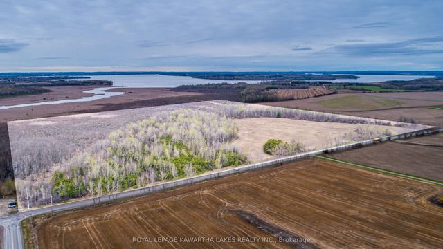890 Ramsey Road, Kawartha Lakes
