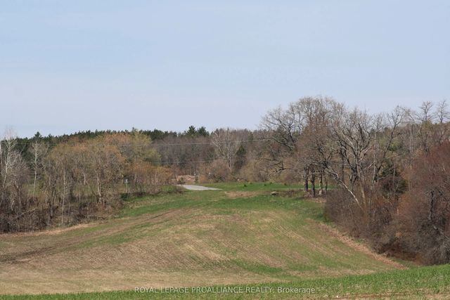Riley Road, Cramahe