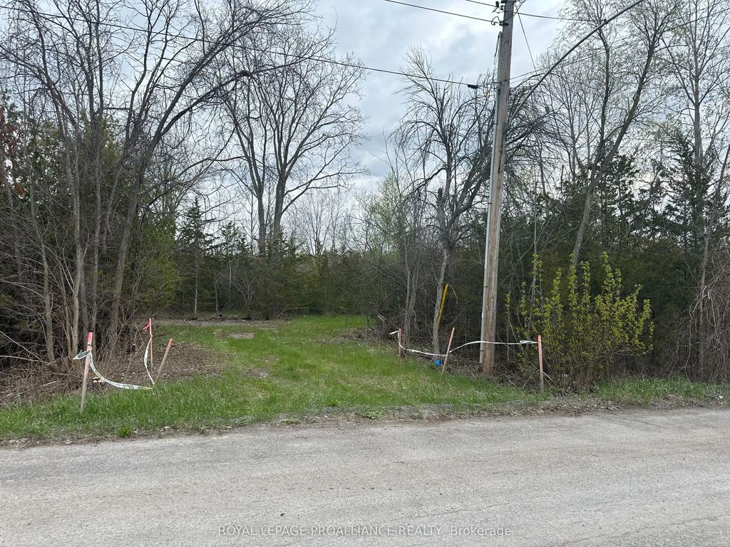 147 Peterson Street, Quinte West