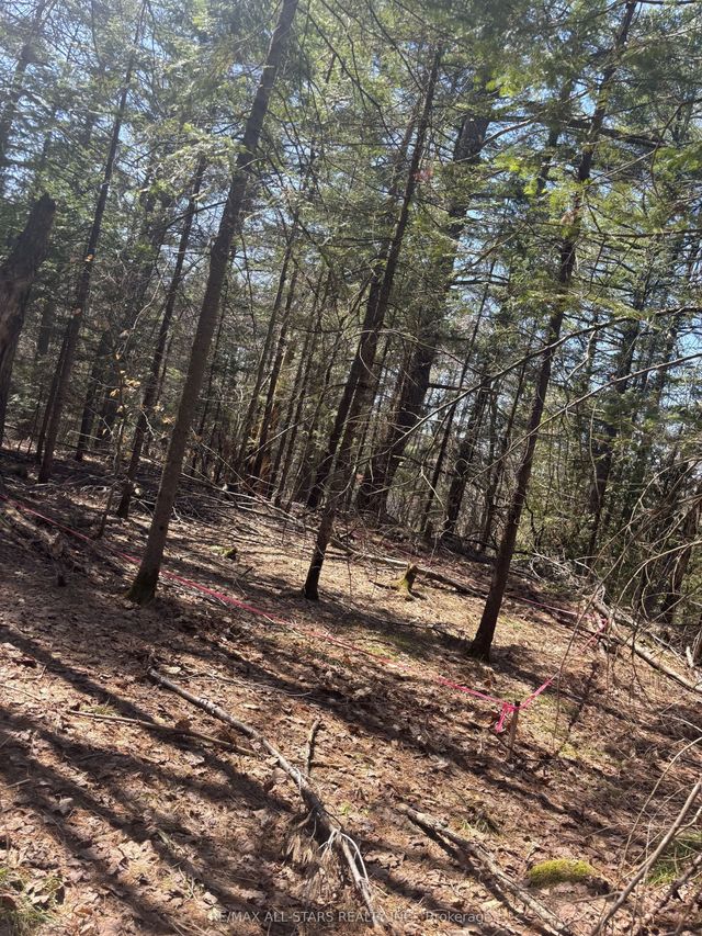 Kirkpatrick Lane, Bracebridge
