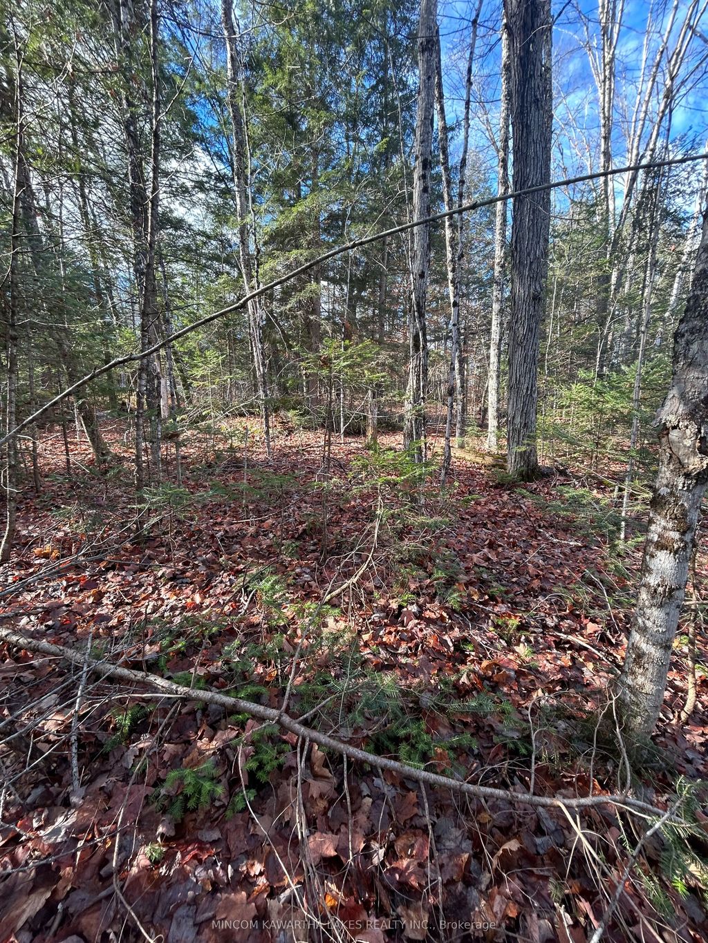 Mill Lake Road, North Kawartha