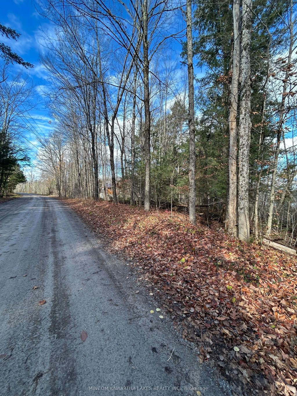 Mill Lake Road, North Kawartha