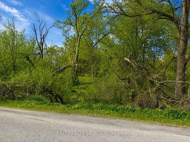 Maple Ridge Drive, Kawartha Lakes