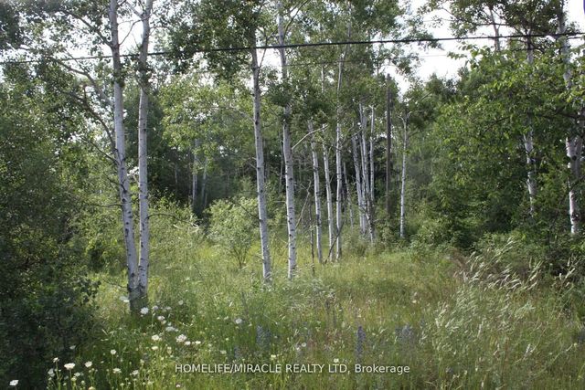 380 Highway 15 Highway, Rideau Lakes