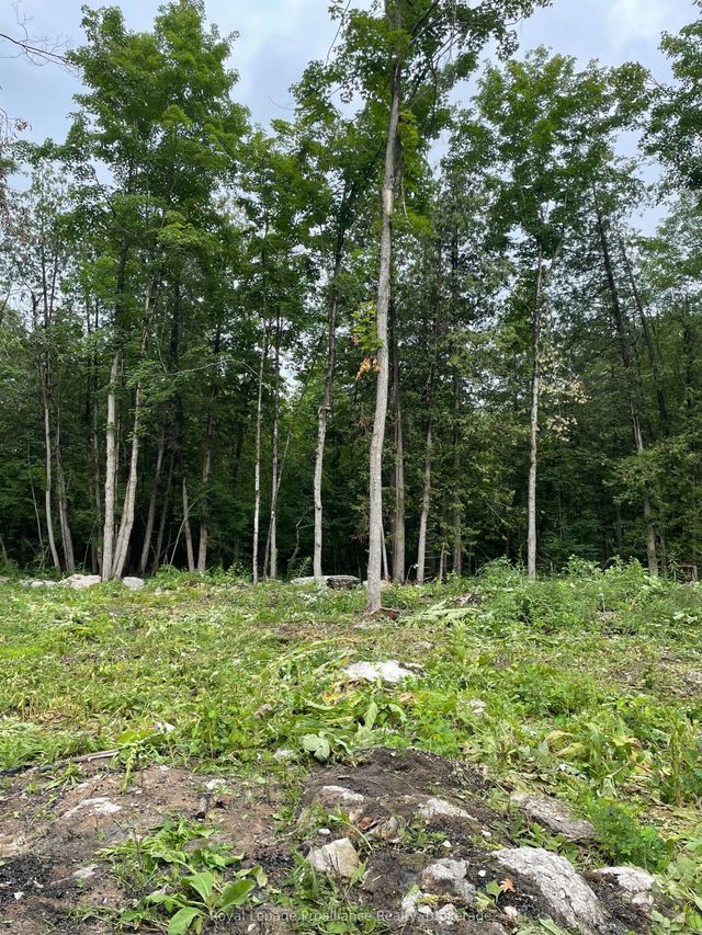 378 Station Road, Marmora and Lake