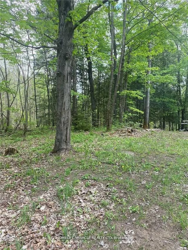 3460 Harburn Road, Dysart et al