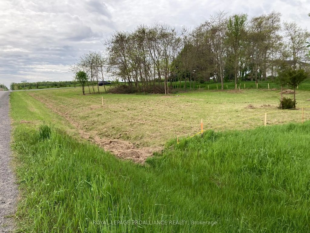 South Shore Road, Greater Napanee