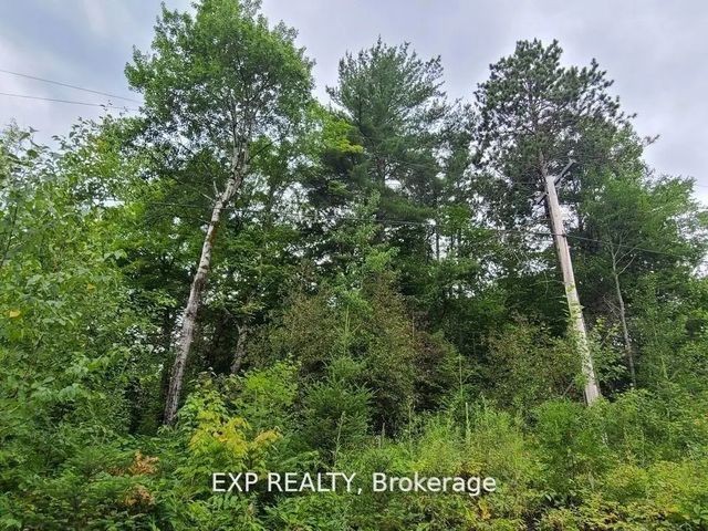 20 Peplinskie Homestead Road, Madawaska Valley