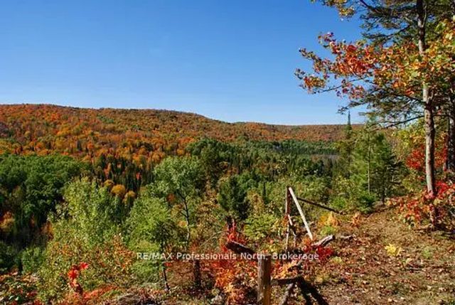 Mudcat Road, Hastings Highlands