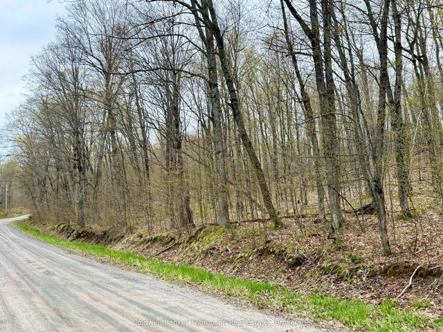 842 Seagull Lake Road S, Parry Sound Remote Area