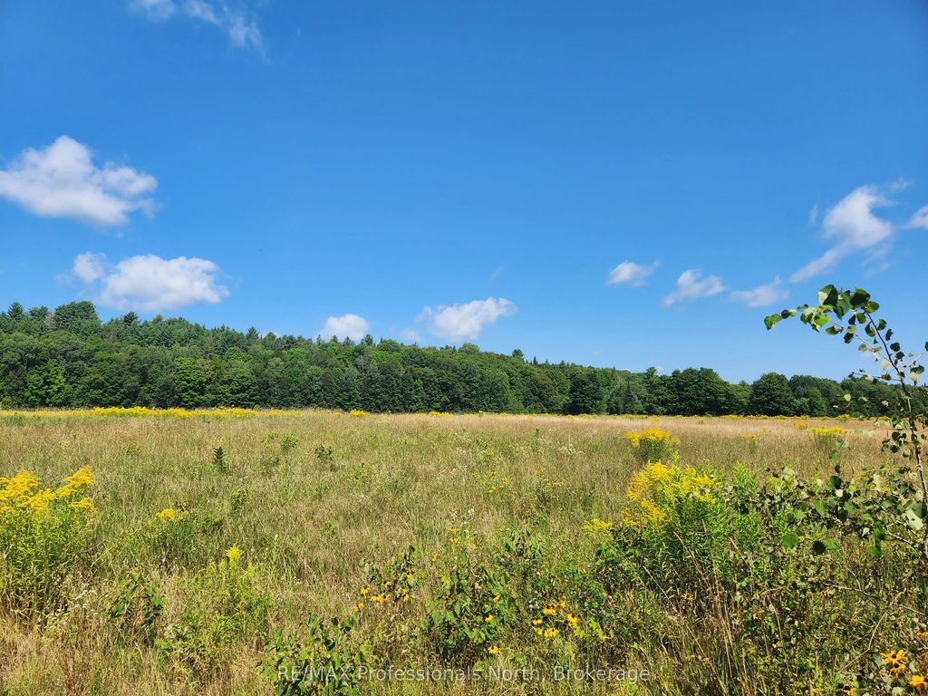 Deep Bay Road, Minden Hills
