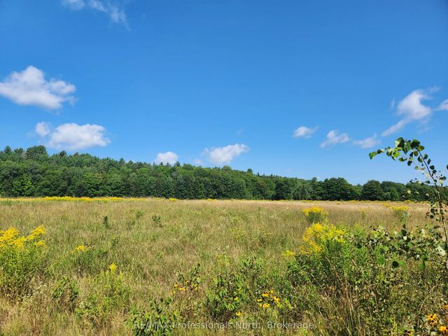 Deep Bay Road, Minden Hills