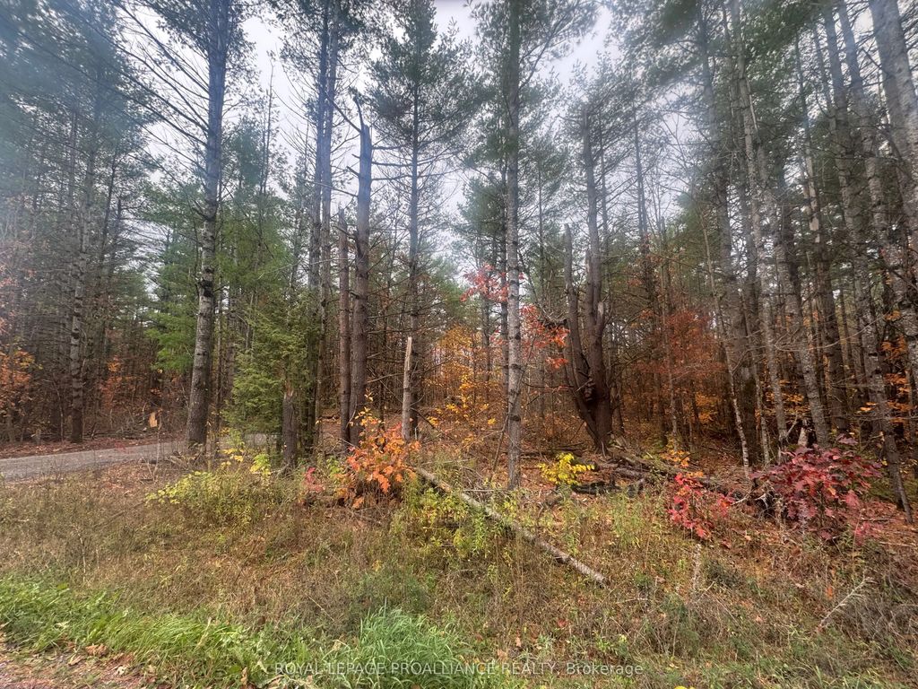 945 Shanick Road, Marmora and Lake
