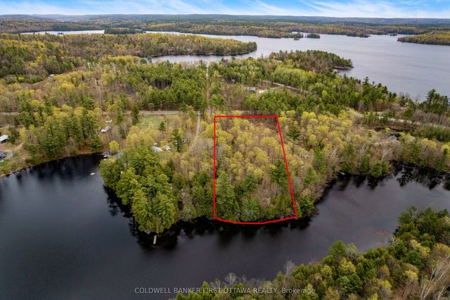 3776 Buckshot Lake Road, Addington Highlands