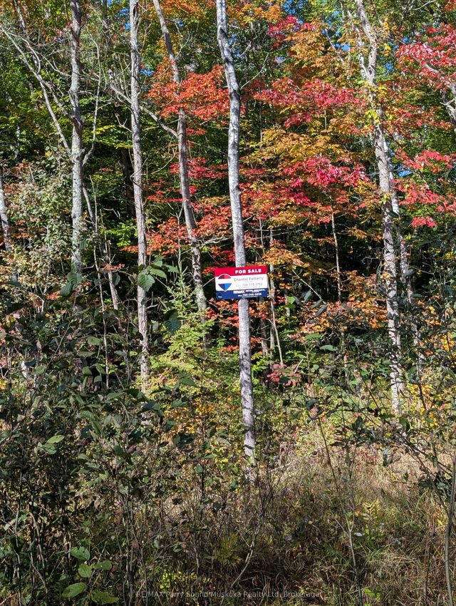 Sugar Lake Road, Seguin