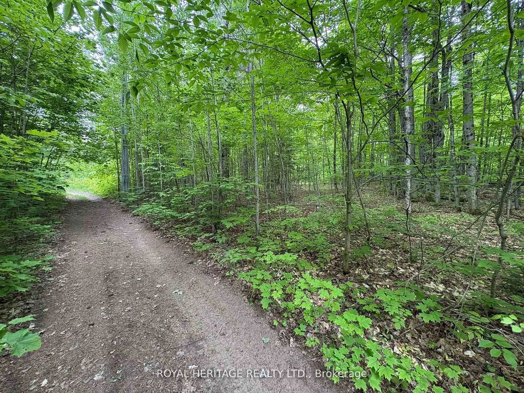 1043 Lawrence Pit Road, Muskoka Lakes