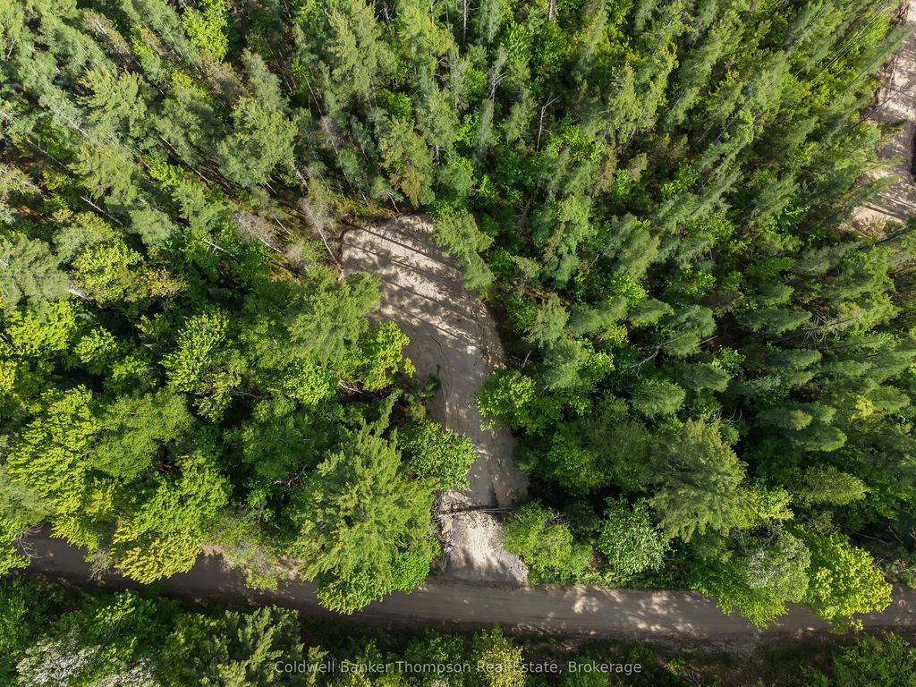 Part 6 Axe Lake Road, McMurrich/Monteith