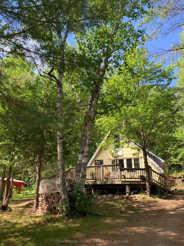 156 River Road, Joly