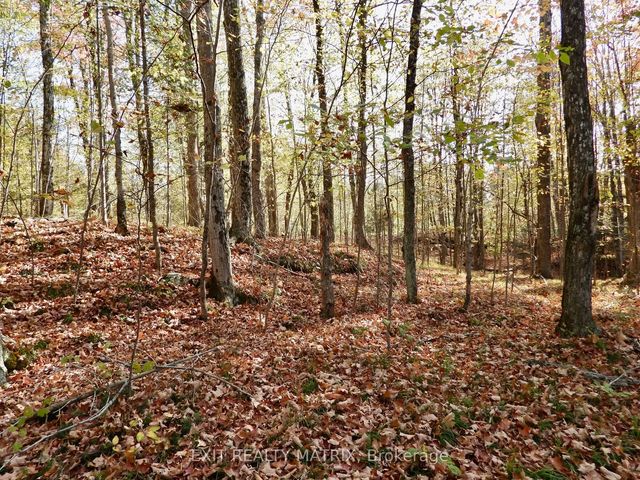 Lot 1 Woodland Park Drive, Frontenac