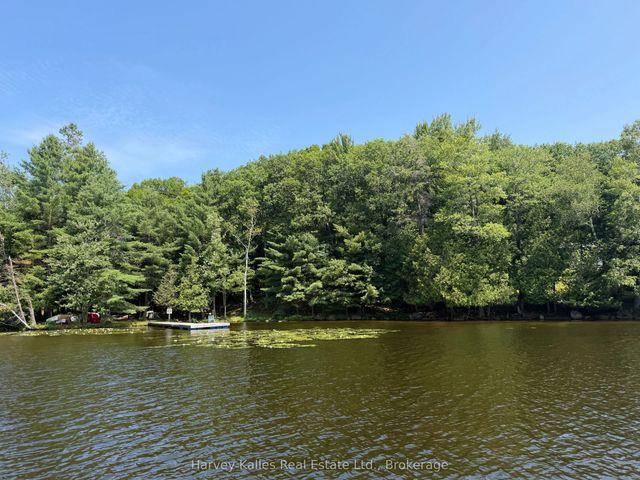 1254 Barlochan Road 4, Muskoka Lakes