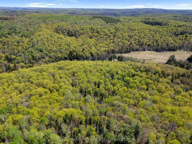 Pt Lt 26 Con 17 Cardiff Hwy #648 (loop) Road, Highlands East