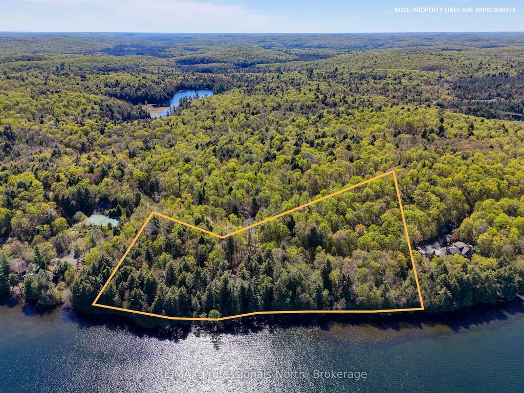 Old Sinclair Road, Lake of Bays