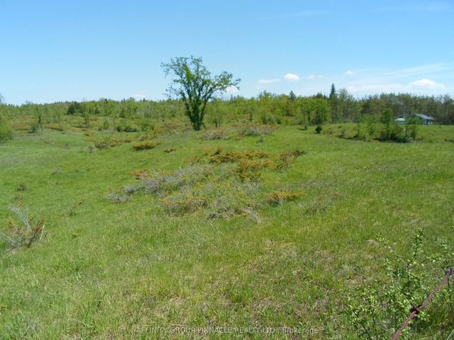 1178 County Rd 121 Road, Kawartha Lakes