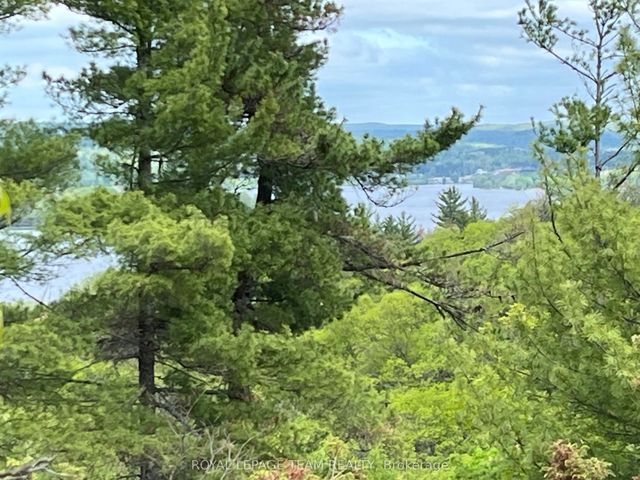 Wales Drive, Madawaska Valley