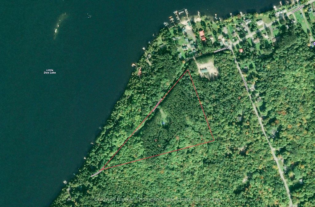 Snowshoe Lane, Armour