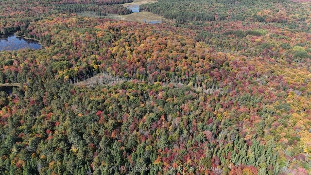 Pl20 Langford Road, Lake of Bays