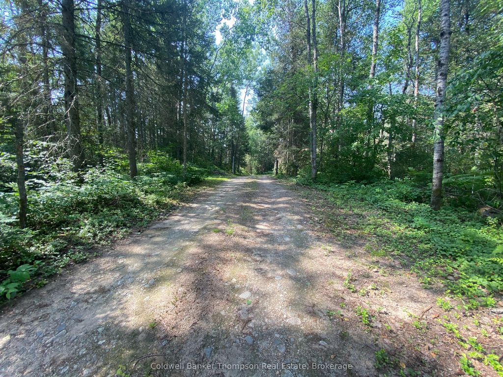 183 Sandhill Road, Joly
