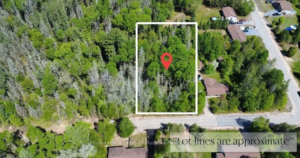 10 Poplar Street, South River