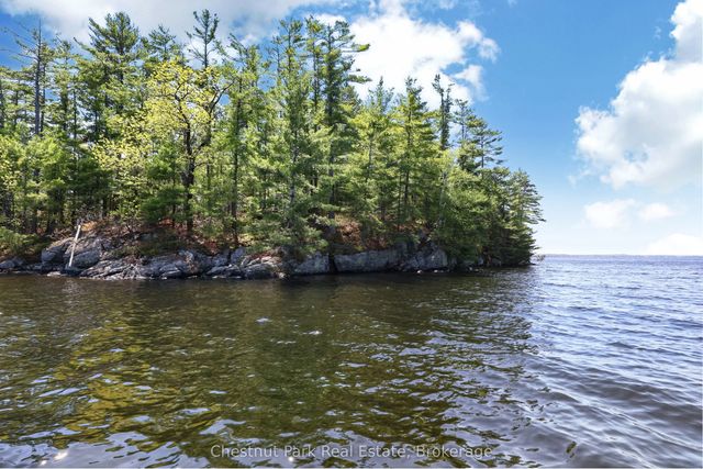 1 Island 20ml Island, Gravenhurst