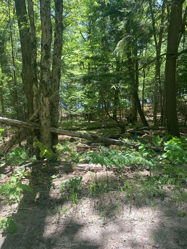 Wurm Road, Magnetawan