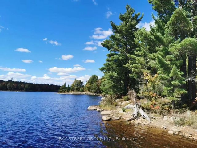 157 Lake Vision Road, McMurrich/Monteith