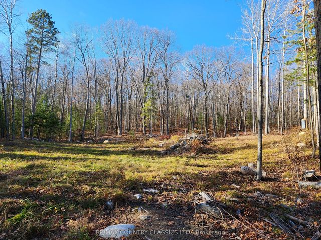 790 Mitchell Road, Madawaska Valley