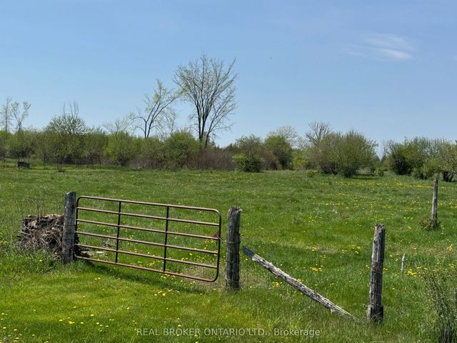 William Campbell Road, Montague