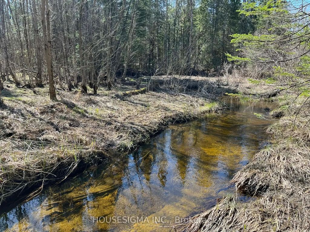 Con 14 Pt Lot 17 Ward: 01 Buller Road, Kawartha Lakes