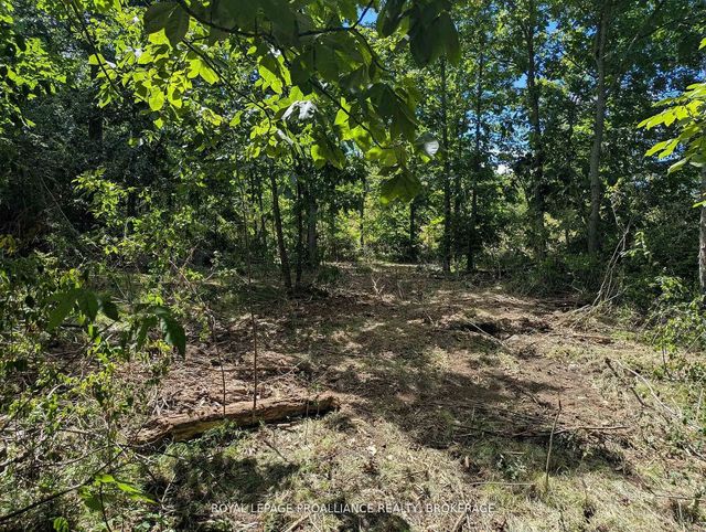 2621 4th Concession Road, Kingston