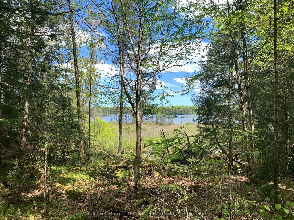 Lot 16 Maxwell Lane, Parry Sound Remote Area