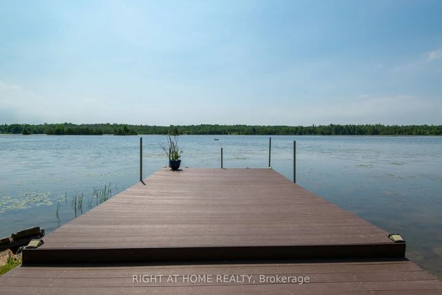 203 Mcguire Beach Road, Kawartha Lakes