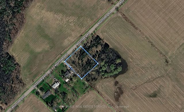 216 Mountsberg Road, Hamilton