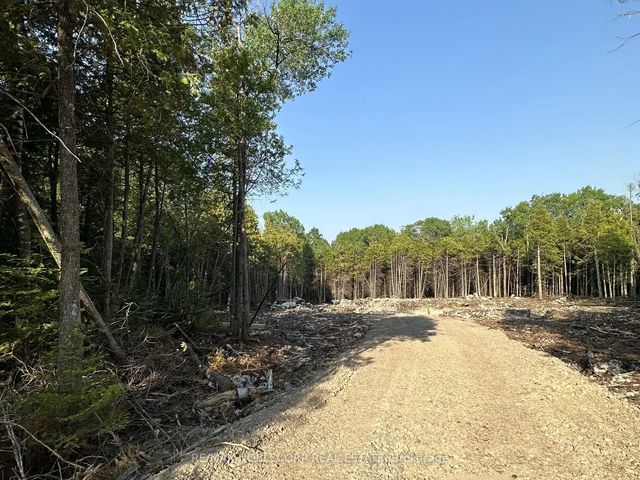 42 Trillium Crossing N/a, Northern Bruce Peninsula