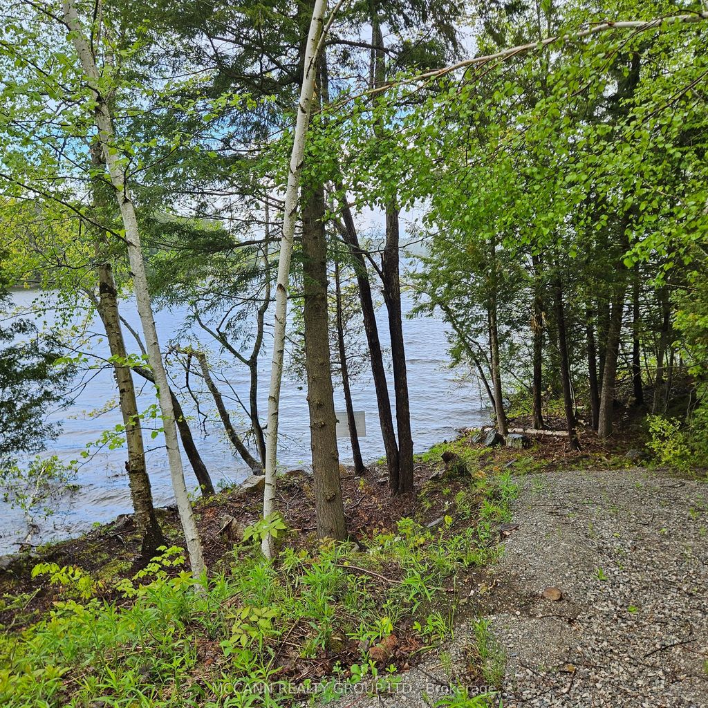 Starlight Road, Minden Hills