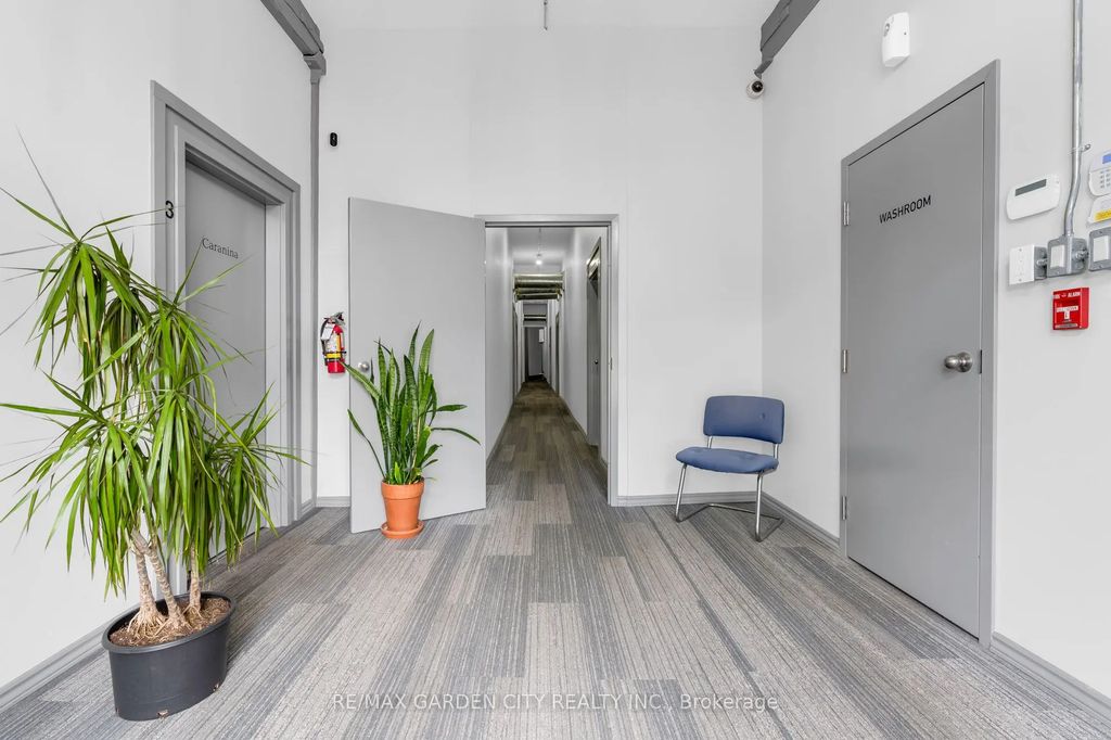 16 Myrtle Avenue 4 Lower, Hamilton