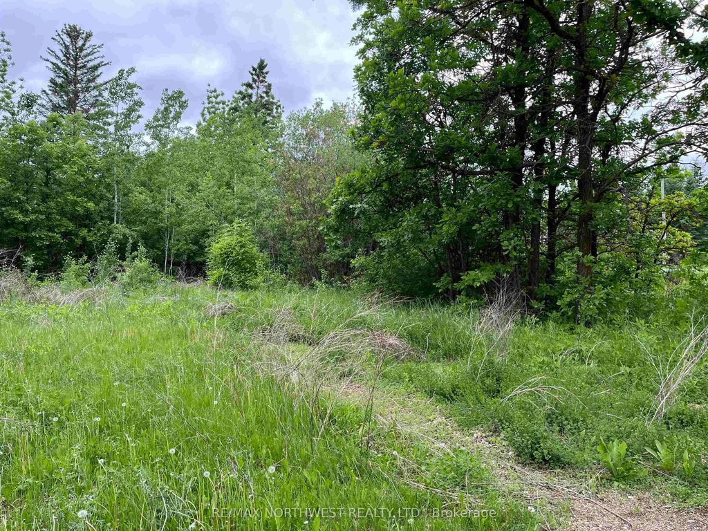 Pin 560490007 Hwy 11, Dawson