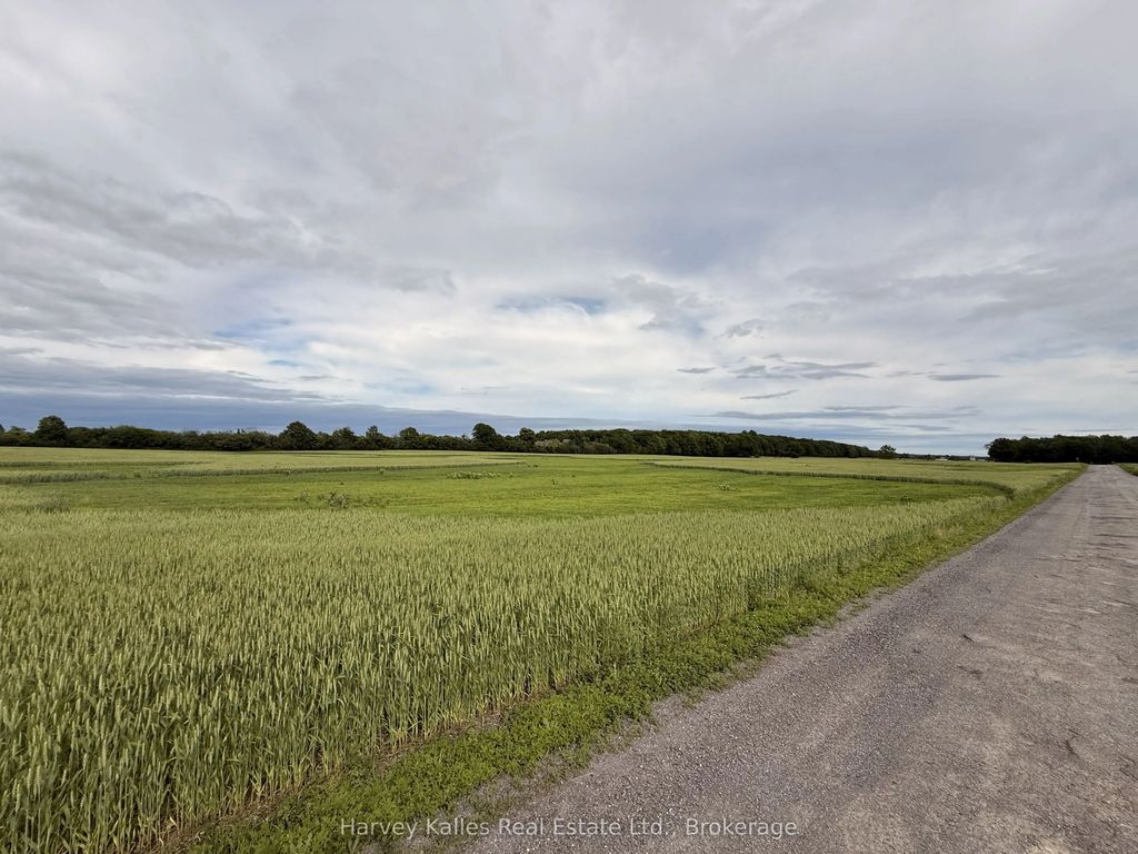 Beside 243 Morgan Road, Prince Edward County