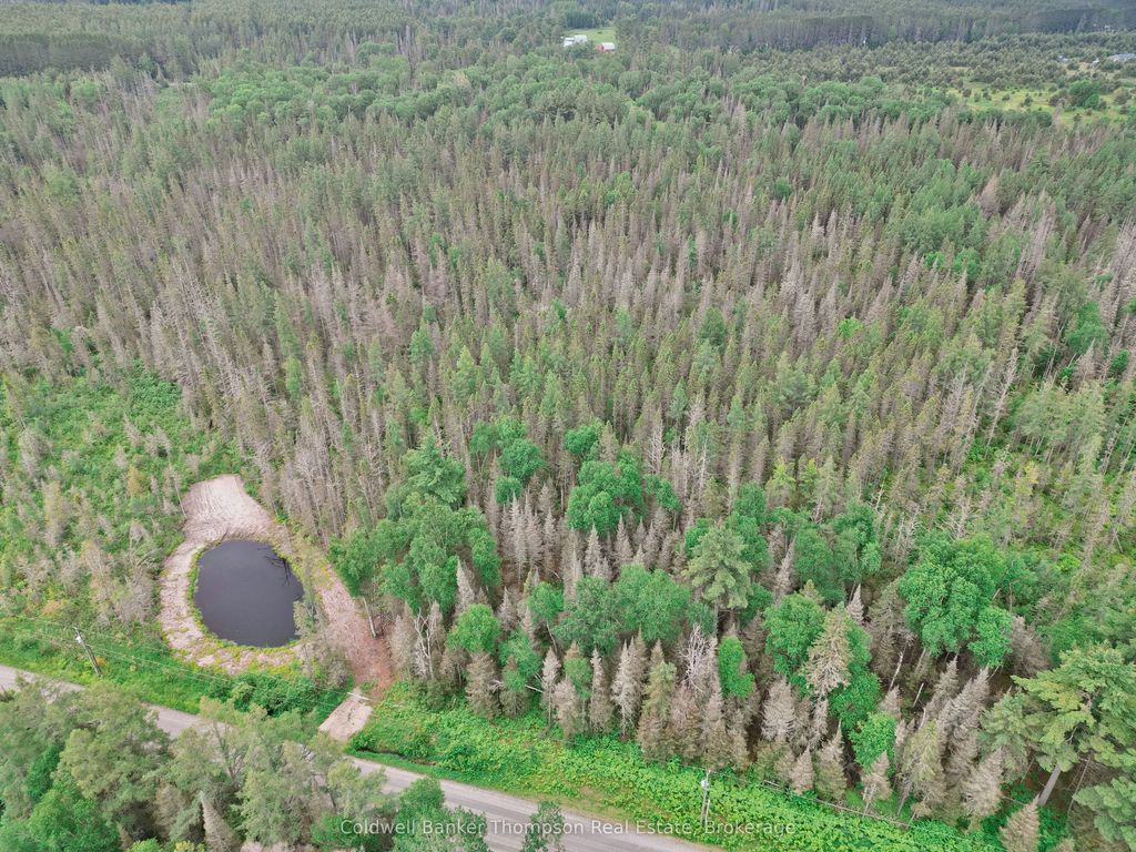 812 Sand Hill Road, Joly