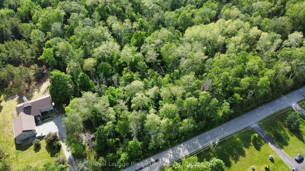 Teal (rp 39r9098) Road, Quinte West
