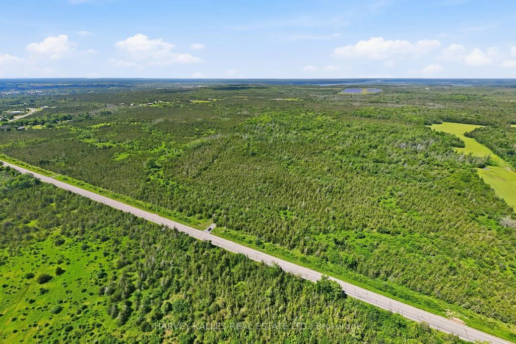 685 County 8 Road, Prince Edward County